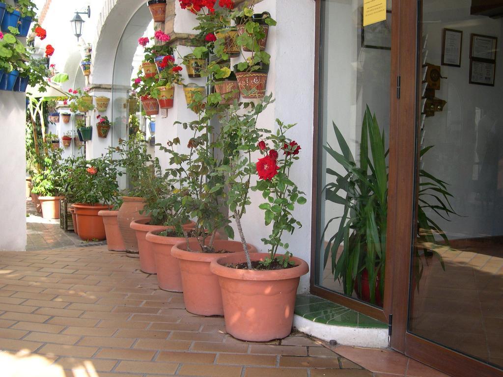 Hotel Cortijo Los Gallos Chiclana de la Frontera Eksteriør bilde